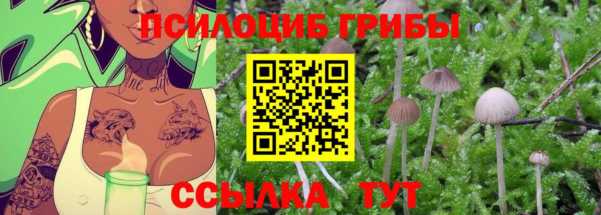 Галлюциногенные грибы Magic Shrooms  Вход с VPN  Галлюциногенные грибы ЛСД  Рубцовск 